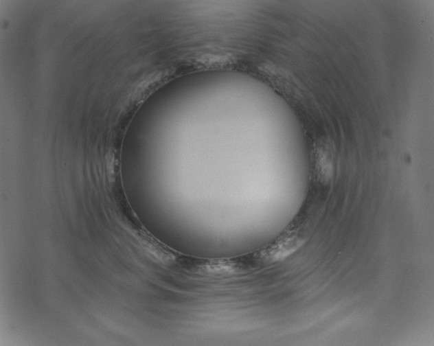 X0000073950668200608211141