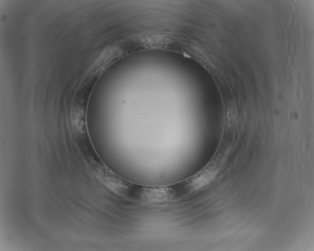 X0000073950671200608211141
