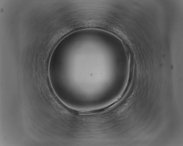 X0000073950673200608211141