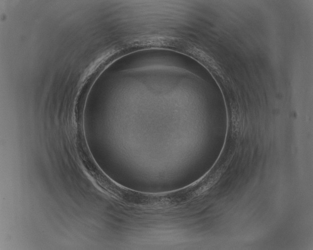 X0000073950674200608211141