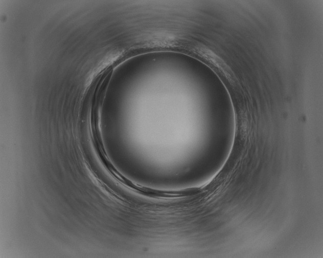 X0000073950677200608211141