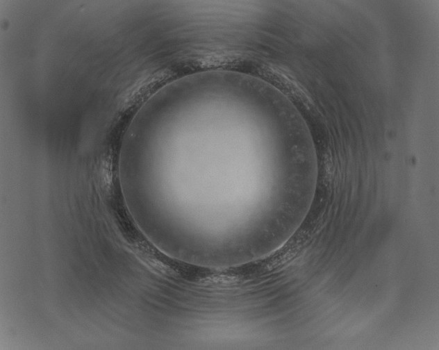 X0000073950691200608211140
