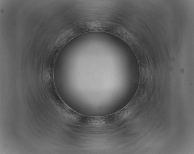 X0000073950702200608211140