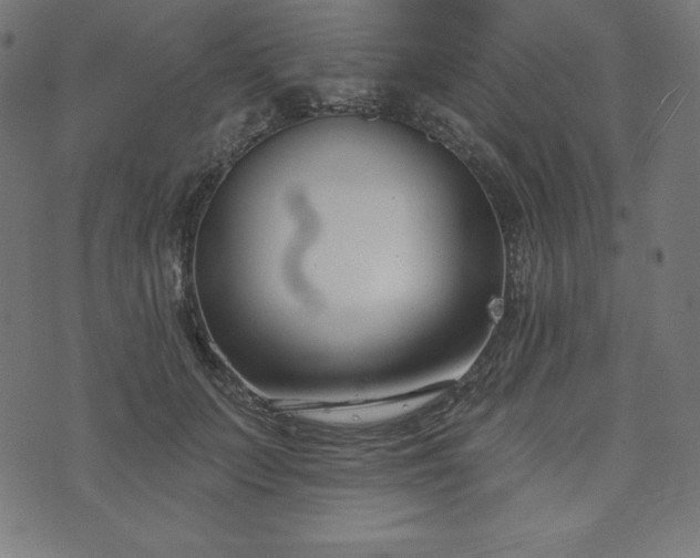 X0000073950703200608211140