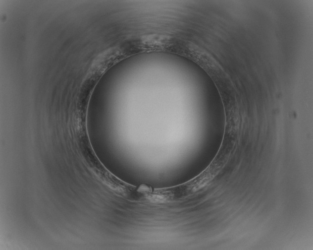 X0000073950706200608211140