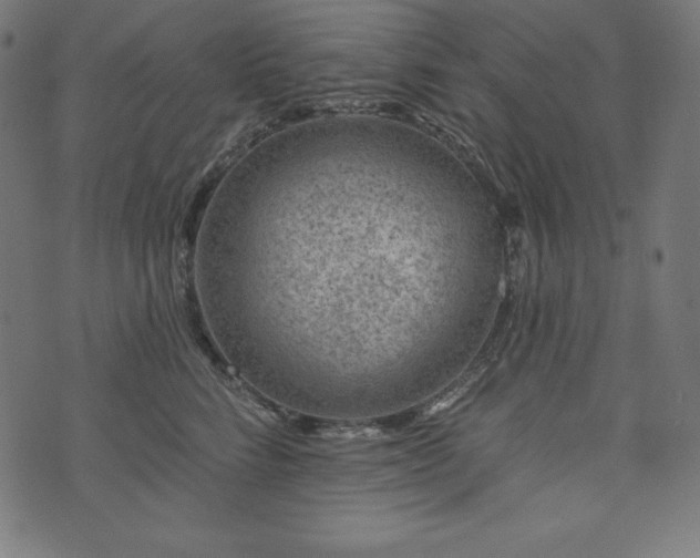 X0000073950712200608211140