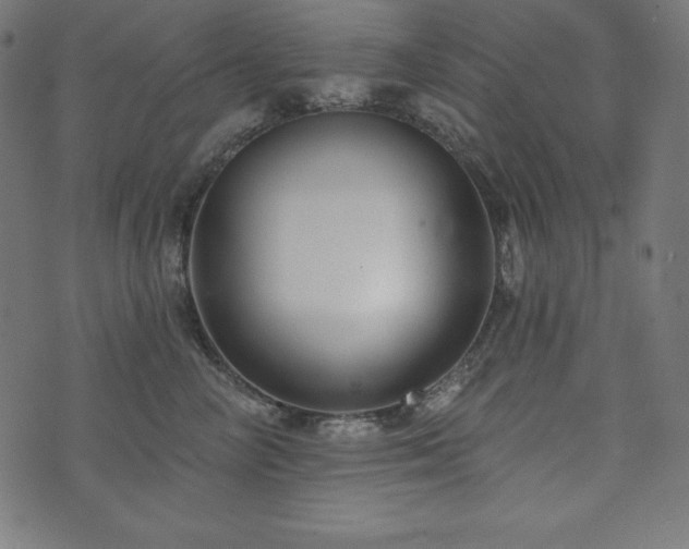 X0000073950714200608211140
