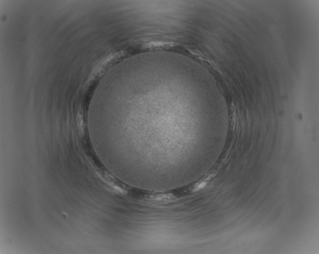 X0000073950716200608211140