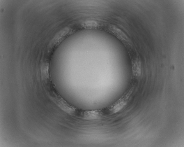 X0000073950717200608211140