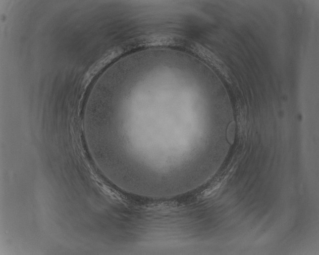 X0000073950721200608211139