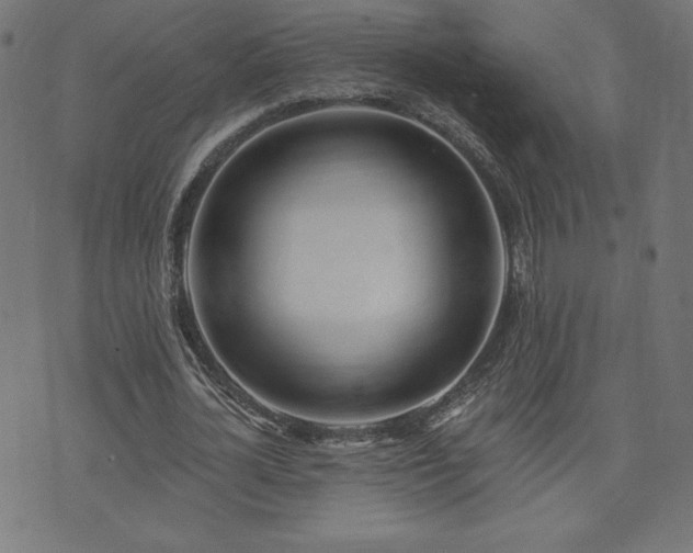 X0000073950724200608211139