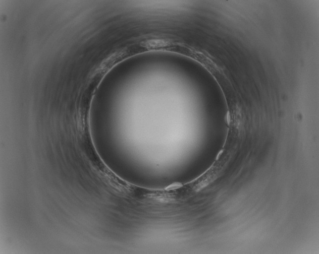 X0000073950763200608211140