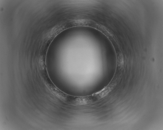 X0000073950764200608211140