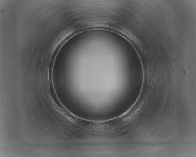 X0000073950790200608211139