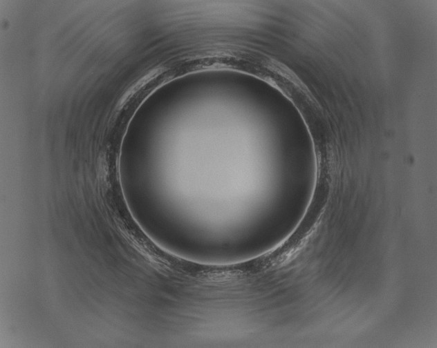 X0000073950826200608211138