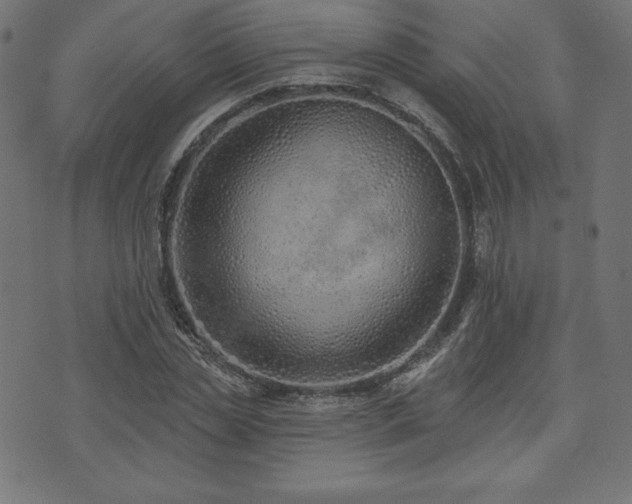 X0000073950829200608211138