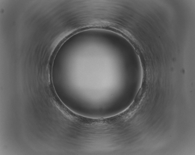X0000073950838200608211138