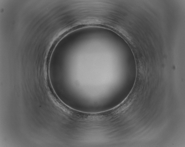 X0000073950840200608211138