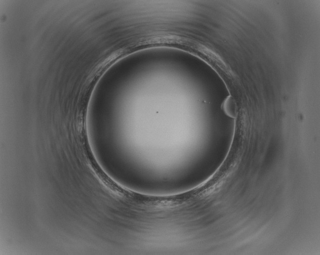 X0000073950841200608211138