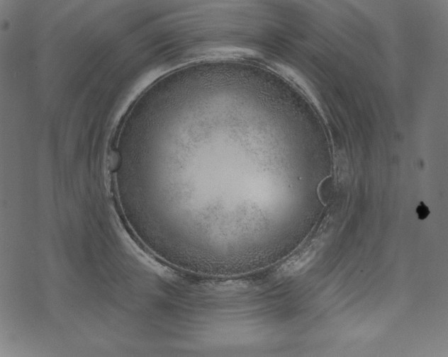 X0000073950851200608211138