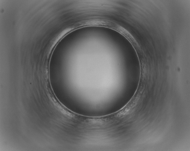 X0000073950852200608211138