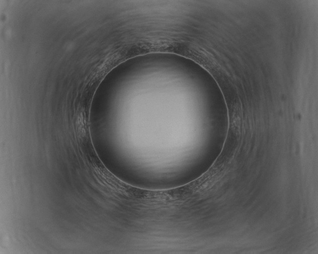 X0000073950866200608211137