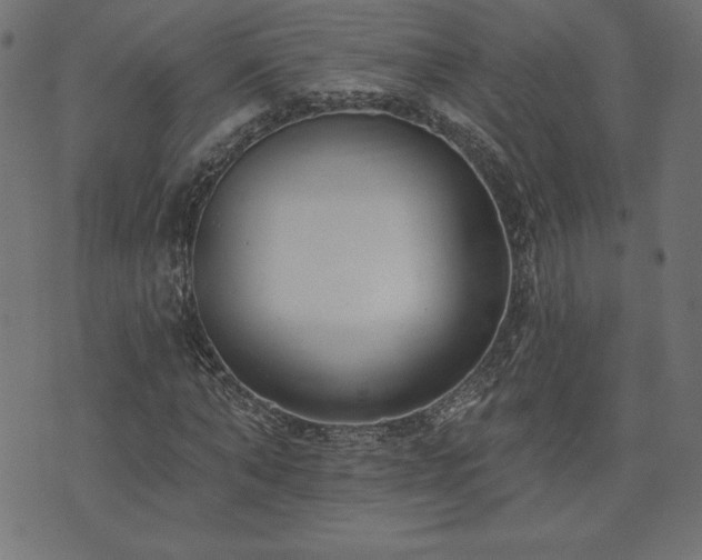 X0000073950870200608211137