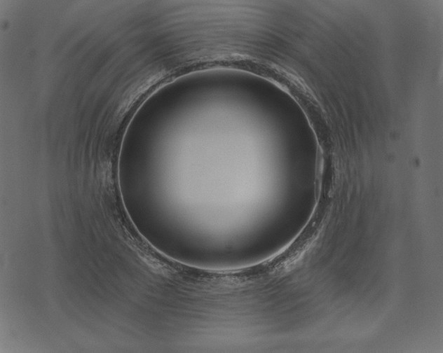 X0000073950881200608211137