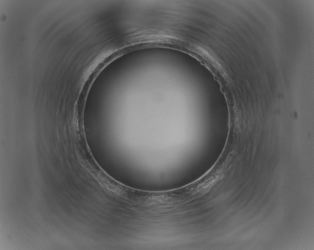 X0000073950883200608211137