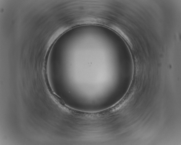 X0000073950901200608211137