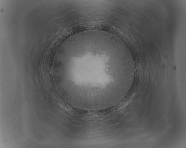 X0000073950913200608211136