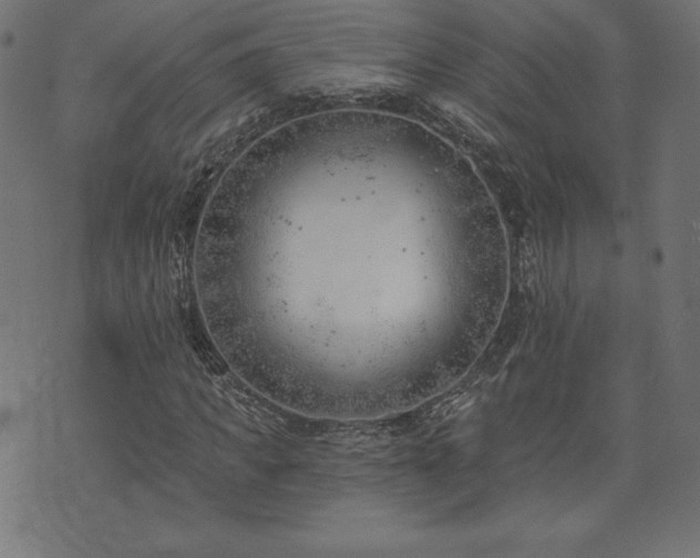 X0000073950917200608211136