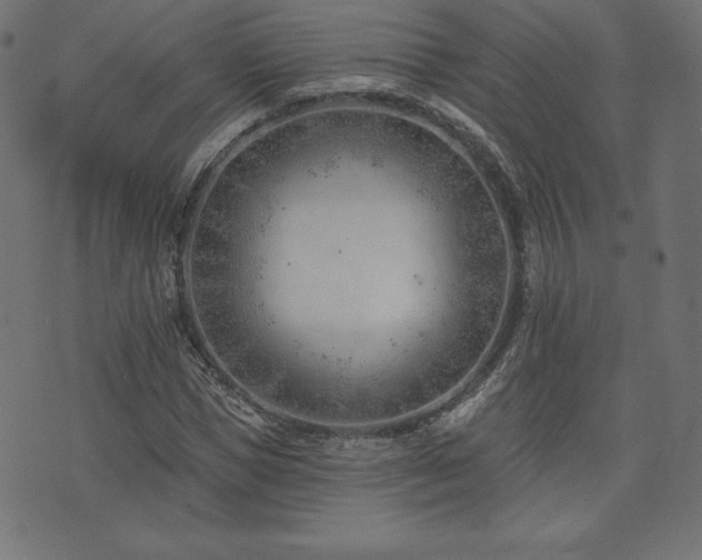X0000073950921200608211136
