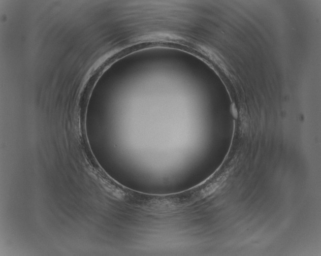 X0000073950931200608211136