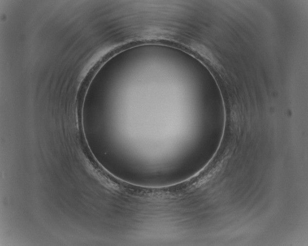 X0000073950934200608211136