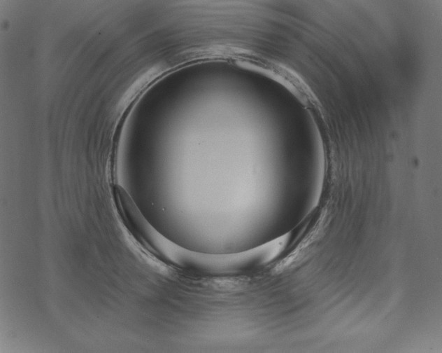 X0000073950946200608211136