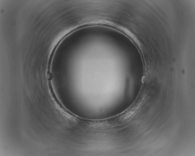 X0000073950951200608211137