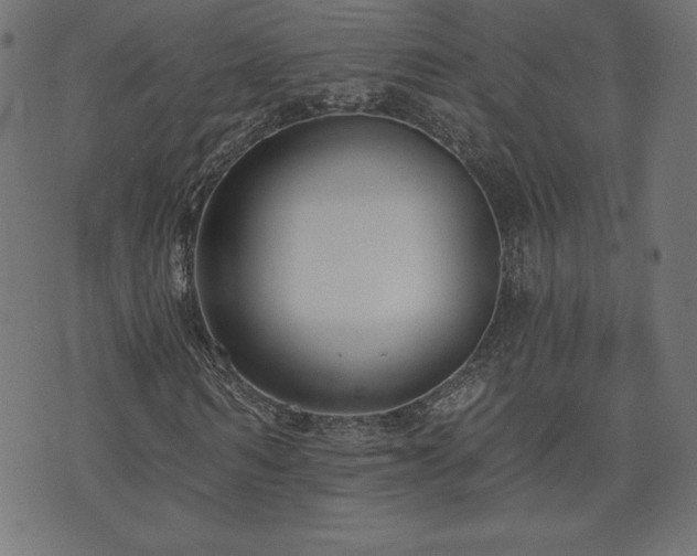 X0000073950962200608211136