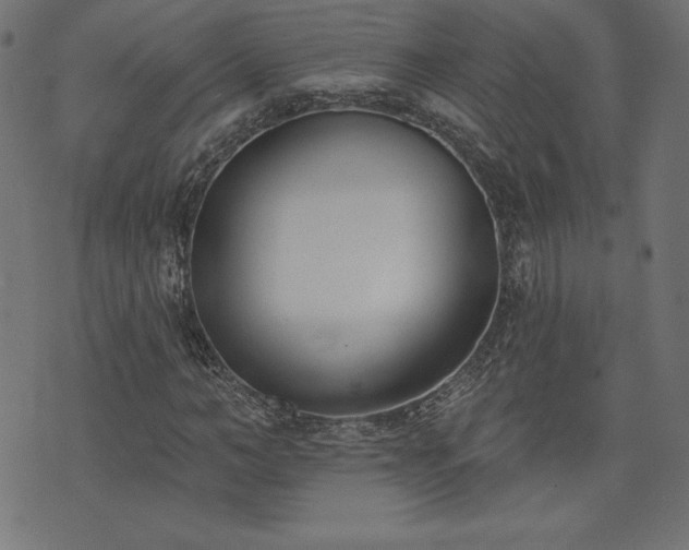 X0000073950966200608211136