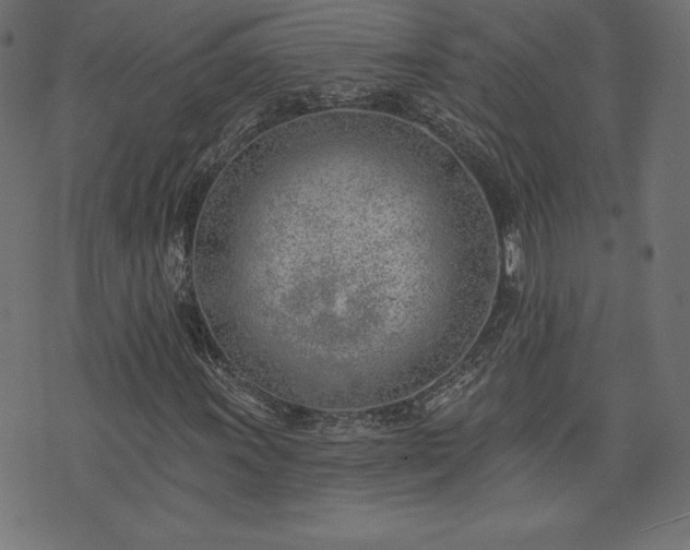 X0000073951011200608211134