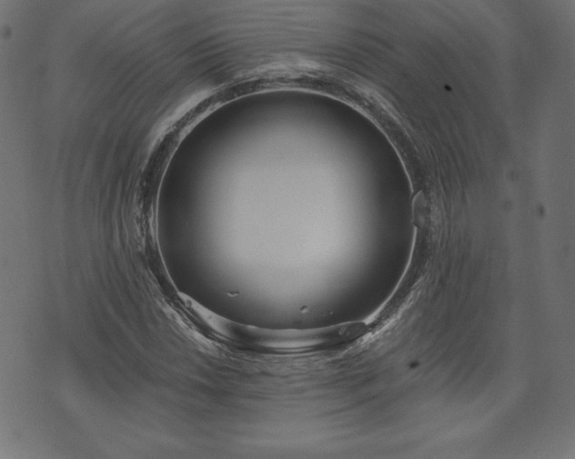 X0000073951018200608211134