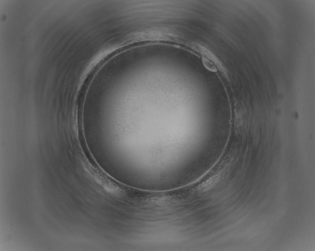 X0000073951035200608211135