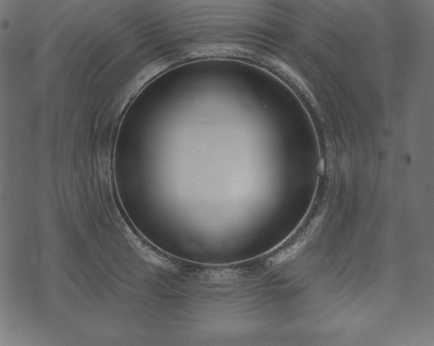 X0000073951041200608211135