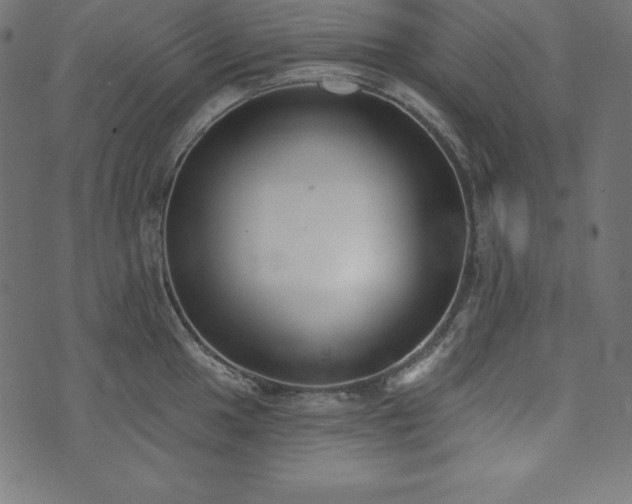 X0000073951049200608211135