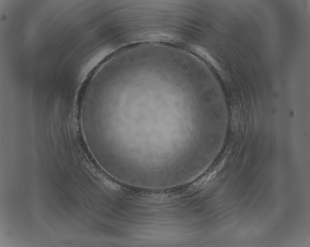 X0000073951071200608211134