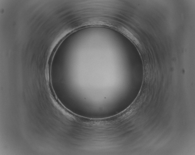 X0000073951084200608211134