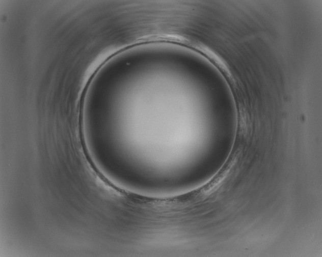 X0000073951102200608211134