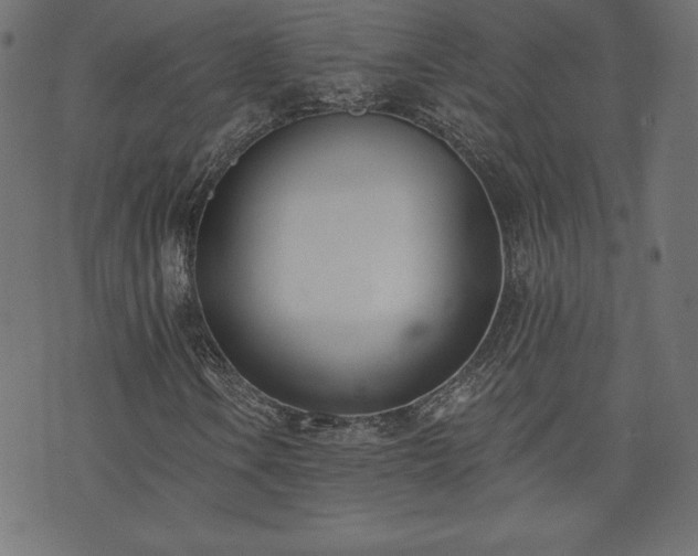 X0000073951106200608211133