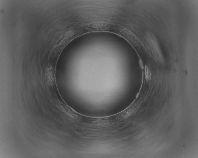 X0000073951107200608211133