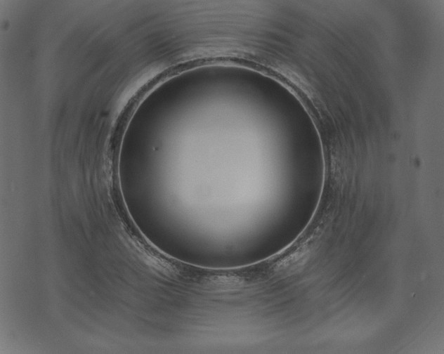 X0000073951119200608211133